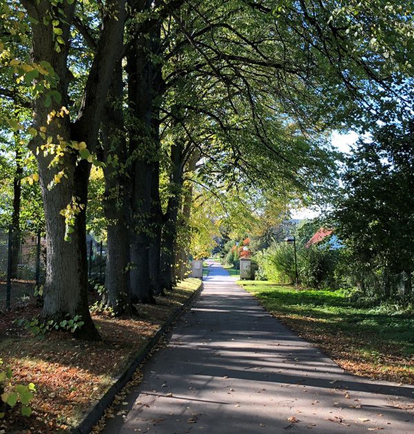 Backhus_Wichmannsdorf_Dorfstrasse5