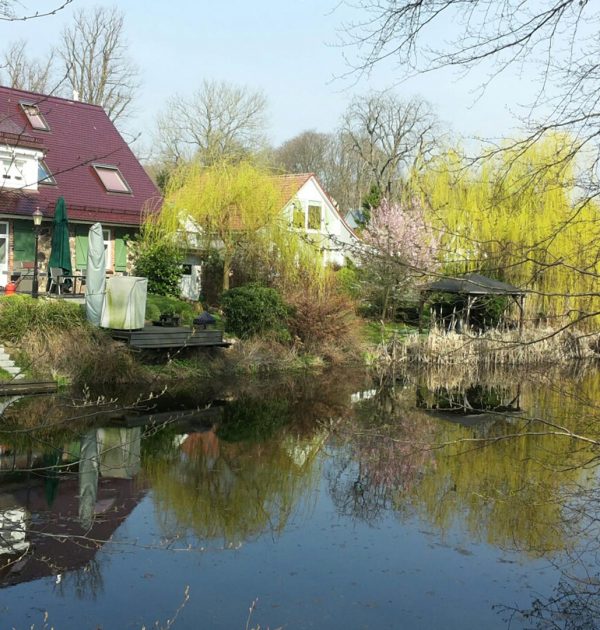 Dorfteich_UG