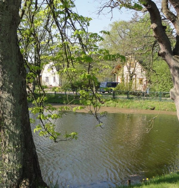 Wichmannsdorf_Dorfteich